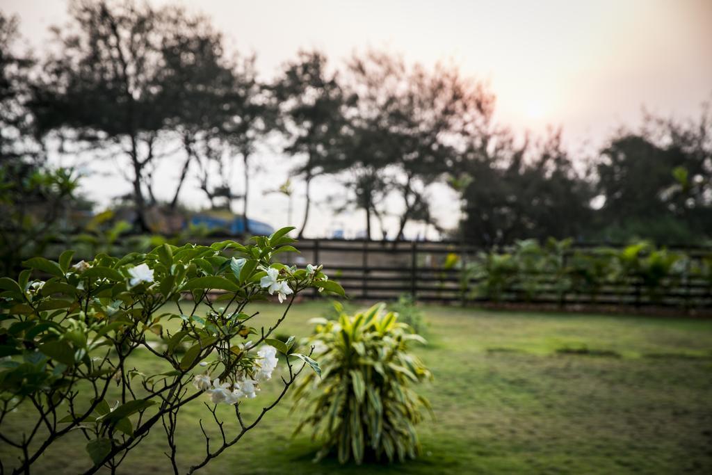 Bed and Breakfast Casa Cubo By The Beach à Calangute Extérieur photo